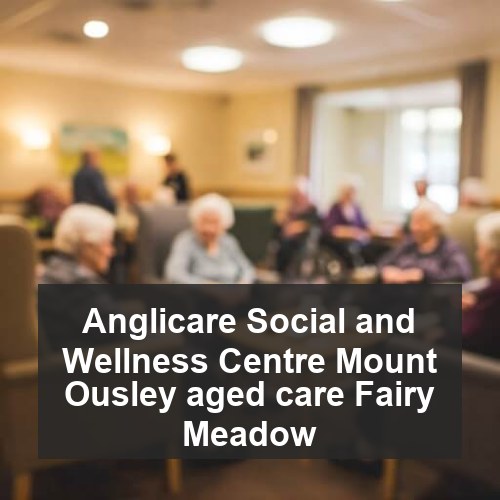 Anglicare Social and Wellness Centre Mount Ousley aged care Fairy Meadow